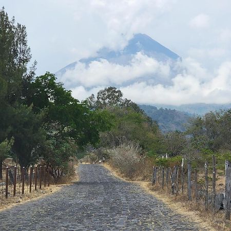 Hotel Juarez 70 Colima Eksteriør billede